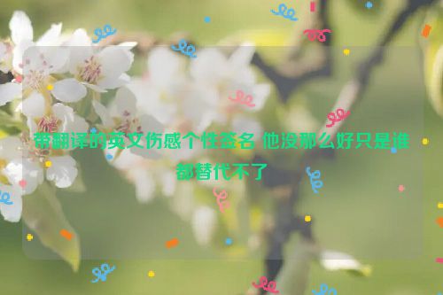 带翻译的英文伤感个性签名 他没那么好只是谁都替代不了