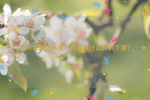 今天我想告诉你，我喜欢什么样的下属？