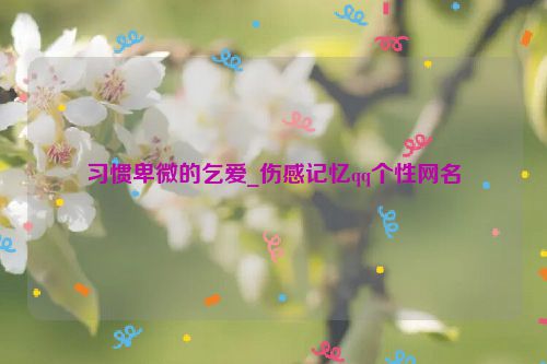 习惯卑微的乞爱_伤感记忆qq个性网名
