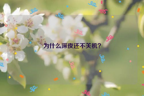 为什么深夜还不关机？