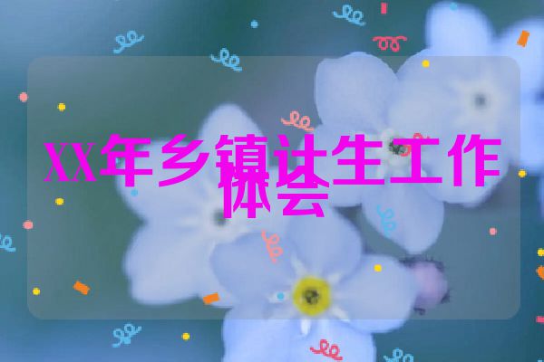 XX年乡镇计生工作体会