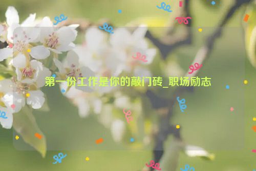 第一份工作是你的敲门砖_职场励志