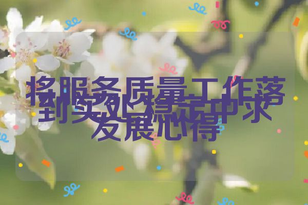 将服务质量工作落到实处,稳定中求发展心得