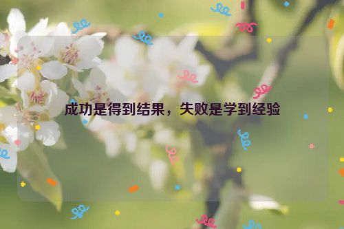成功是得到结果，失败是学到经验