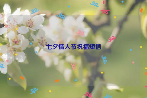 七夕情人节祝福短信