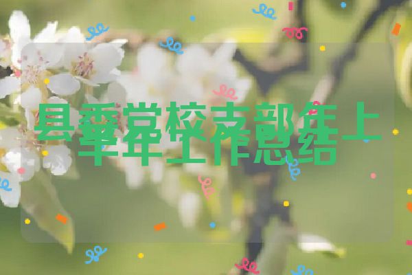县委党校支部年上半年工作总结