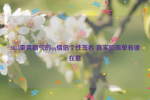 2013豪爽霸气的qq情侣个性签名 真实的孤单有谁在意