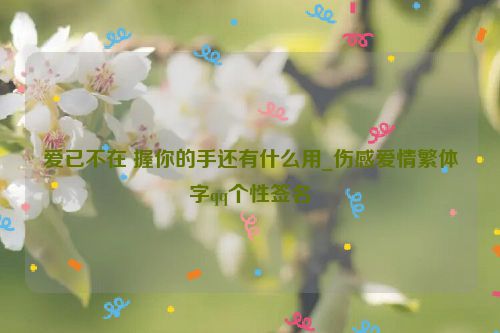 爱已不在 握你的手还有什么用_伤感爱情繁体字qq个性签名