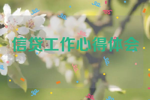 信贷工作心得体会
