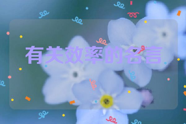 有关效率的名言
