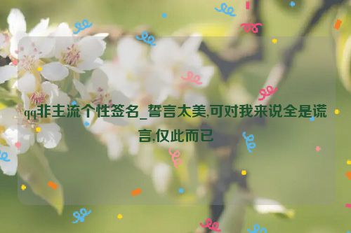 qq非主流个性签名_誓言太美,可对我来说全是谎言,仅此而已