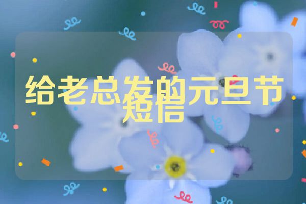 给老总发的元旦节短信