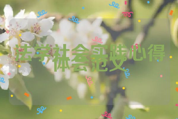 法学社会实践心得体会范文