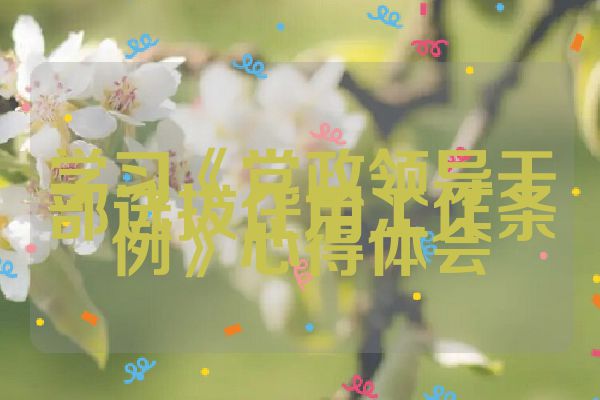 学习《党政领导干部选拔任用工作条例》心得体会