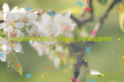2015男生帅气酷炫qq个性网名 少年痴货最帅比