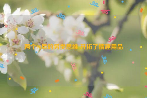 两个90后的另类思维 开拓了情趣用品