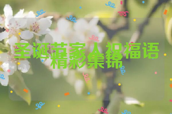 圣诞节家人祝福语精彩集锦