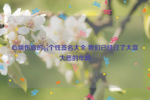 心烦伤感的qq个性签名大全 我们已经过了大喜大悲的年龄