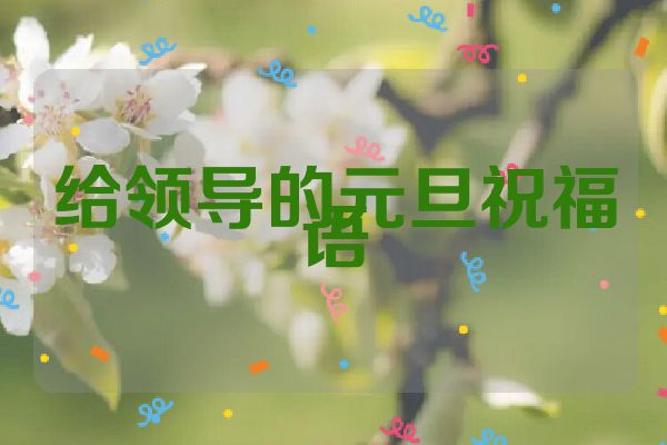 给领导的元旦祝福语