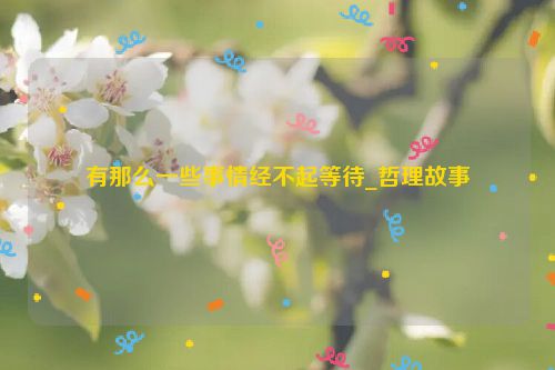 有那么一些事情经不起等待_哲理故事