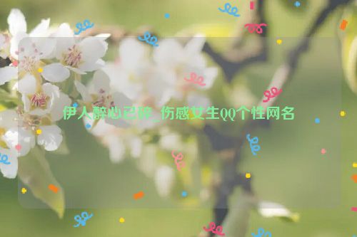 伊人醉心已碎_伤感女生QQ个性网名