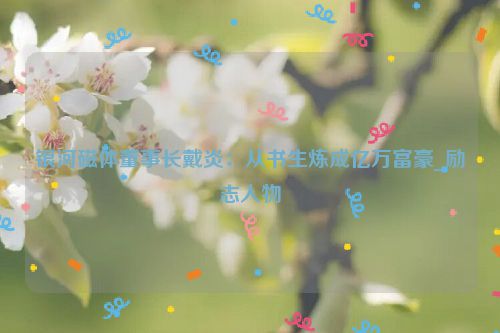 银河磁体董事长戴炎：从书生炼成亿万富豪_励志人物