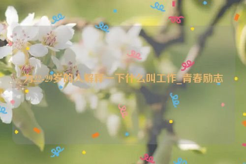 为22-29岁的人解释一下什么叫工作_青春励志