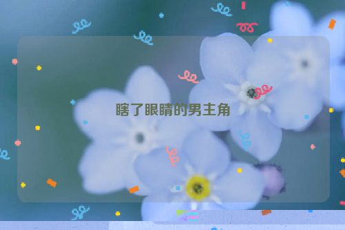 瞎了眼睛的男主角