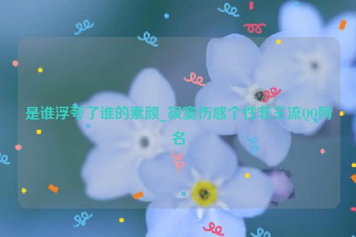 是谁浮夸了谁的素颜_寂寞伤感个性非主流QQ网名
