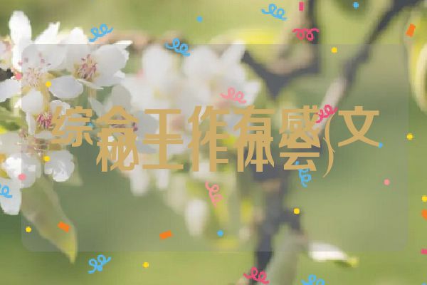 综合工作有感(文秘工作体会)