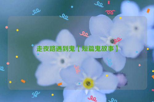 走夜路遇到鬼【短篇鬼故事】