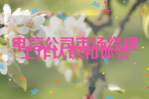 电信公司市场经理工作认识和体会