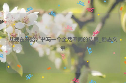 从现在开始，书写一个全然不同的结局_励志文章