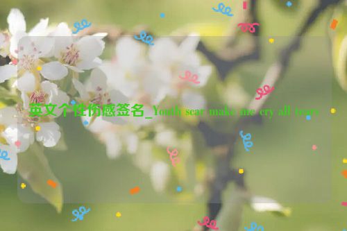 英文个性伤感签名_Youth scar make me cry all tears