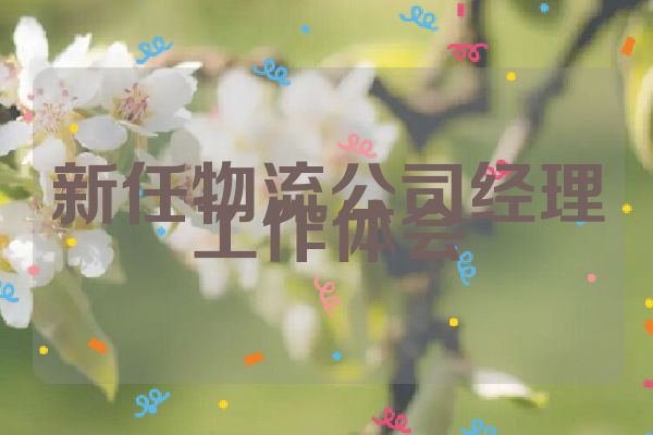 新任物流公司经理工作体会