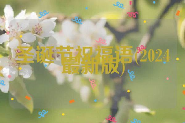 圣诞节祝福语(2024最新版)