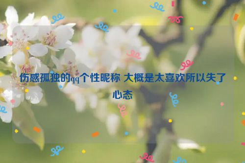 伤感孤独的qq个性昵称 大概是太喜欢所以失了心态