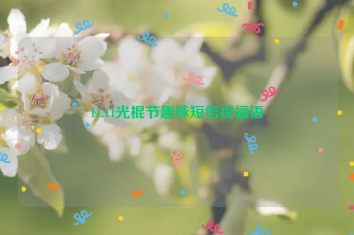 11.11光棍节趣味短信祝福语