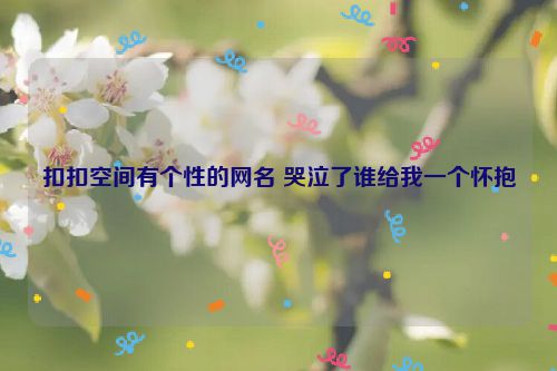 扣扣空间有个性的网名 哭泣了谁给我一个怀抱
