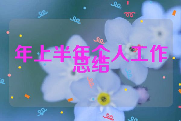 年上半年个人工作总结