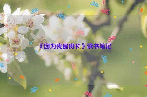 《因为我是班长》读书笔记