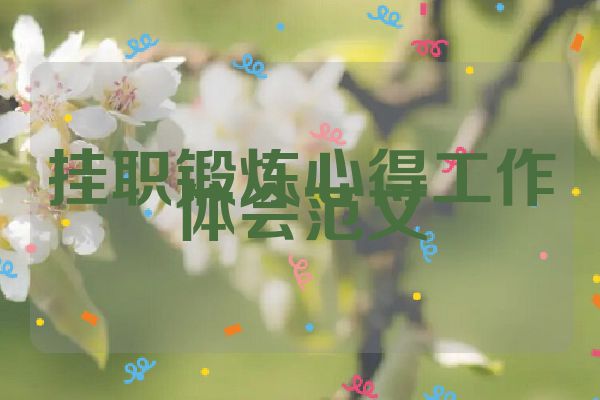 挂职锻炼心得工作体会范文