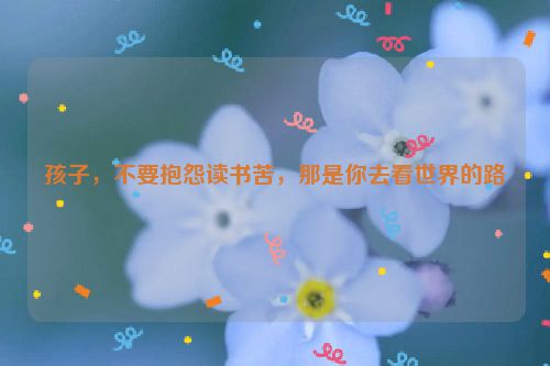 孩子，不要抱怨读书苦，那是你去看世界的路