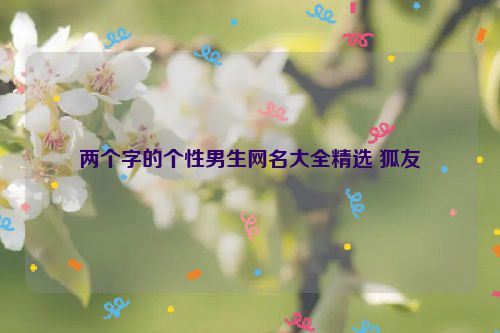 两个字的个性男生网名大全精选 狐友