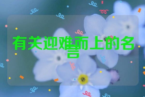 有关迎难而上的名言