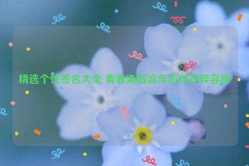 精选个性签名大全 青春染指流年流年跌碎容颜
