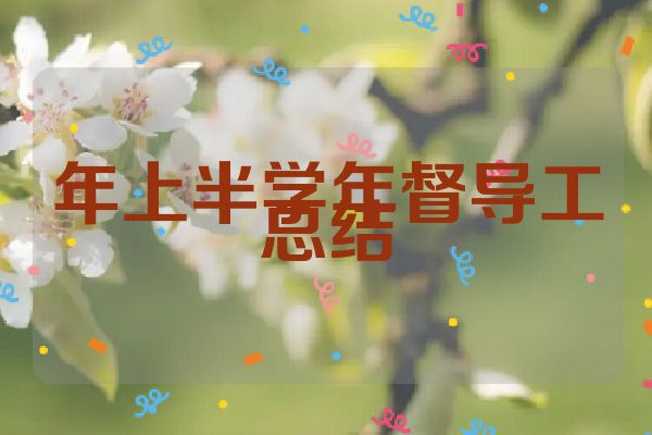 年上半学年督导工总结