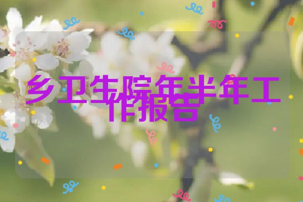 乡卫生院年半年工作报告