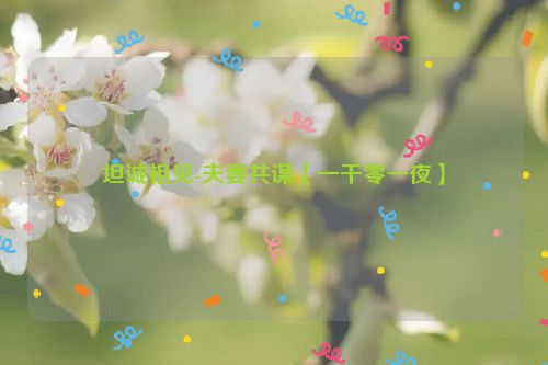坦诚相见-夫妻共谋【一千零一夜】