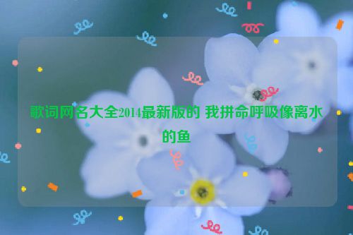 歌词网名大全2014最新版的 我拼命呼吸像离水的鱼